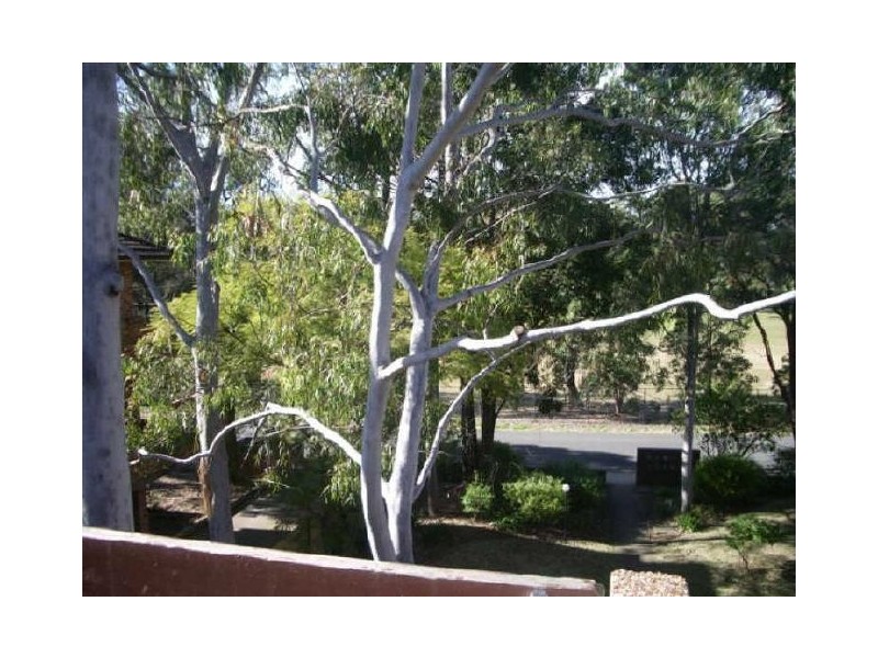 10/33 Park Avenue, Westmead NSW 2145