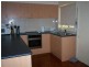 17 Hopkins Street, Wentworthville NSW 2145