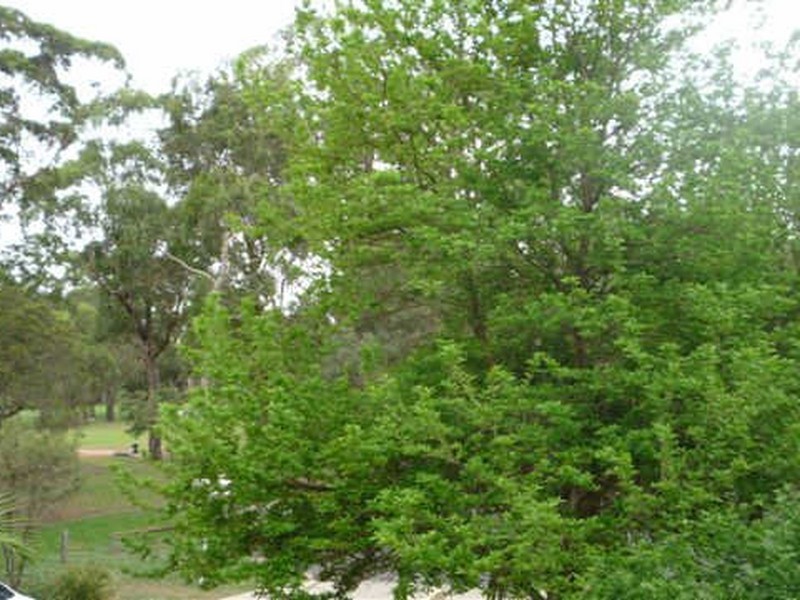 8/1 Bailey Street, Westmead NSW 2145