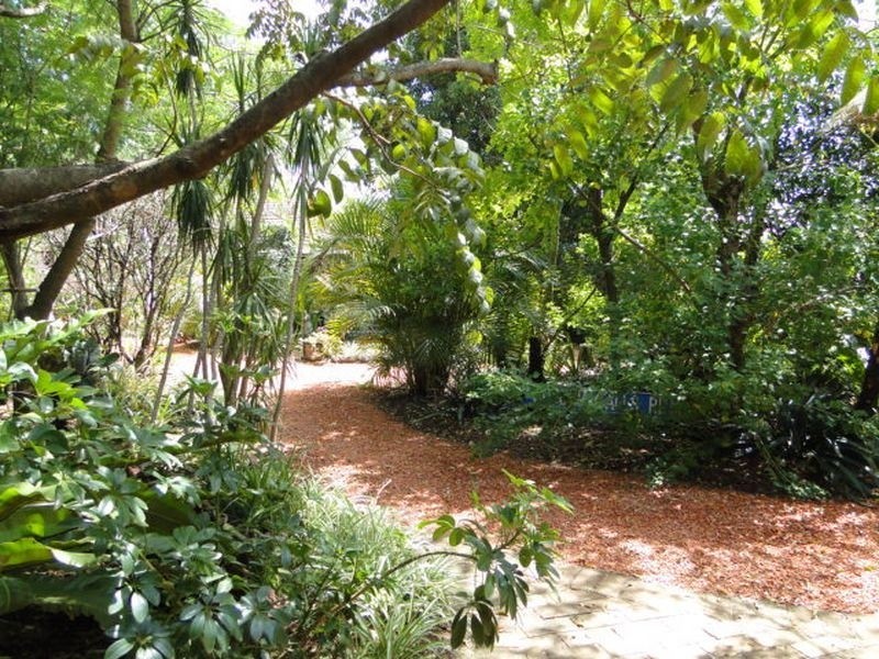 2 Curtin Place, Westmead NSW 2145