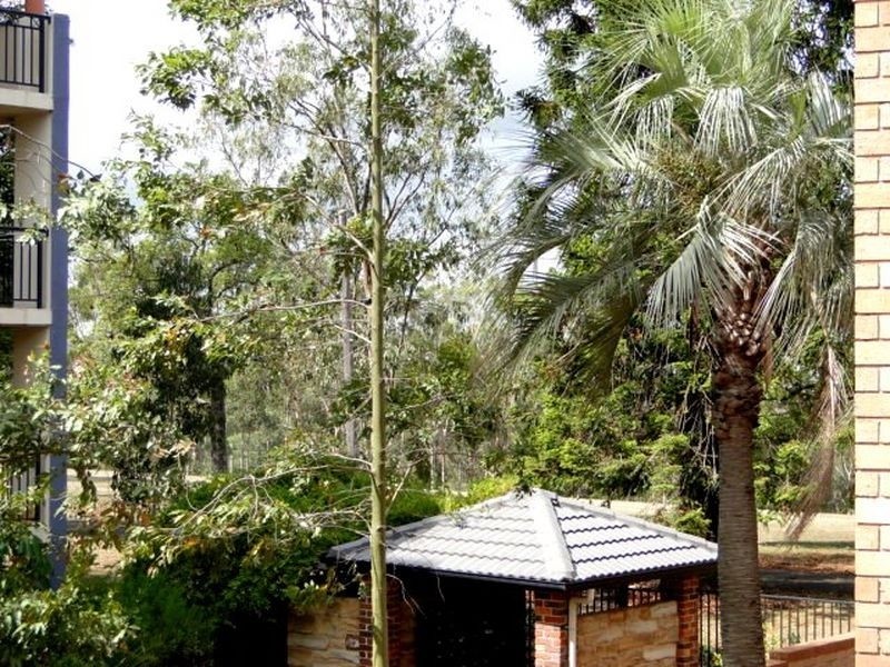 16/15 Good Street, Westmead NSW 2145