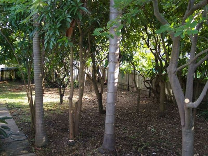 110 Hawkesbury Road, Westmead NSW 2145