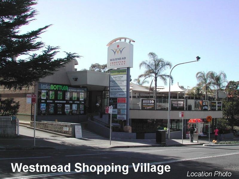 9/18-20 Central Avenue, Westmead NSW 2145