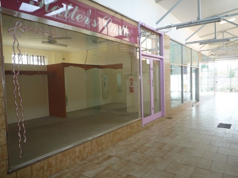 41 Dunmore Street, Wentworthville NSW 2145