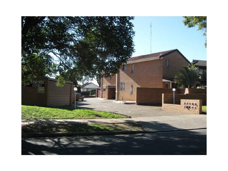 29 ST JOHNS ROAD, Auburn NSW 2144