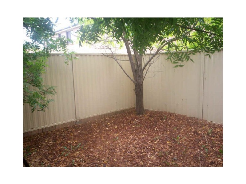 79-81 AMOS STREET, Westmead NSW 2145