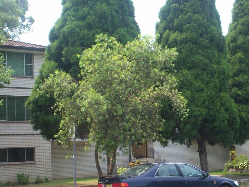 1 DUNLOP STREET, North Parramatta NSW 2151