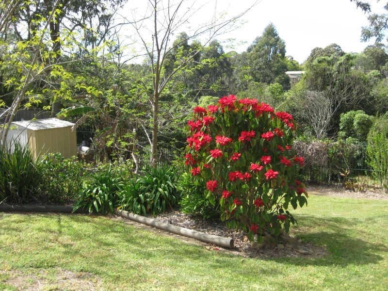 21 Cliff Avenue, Winston Hills NSW 2153