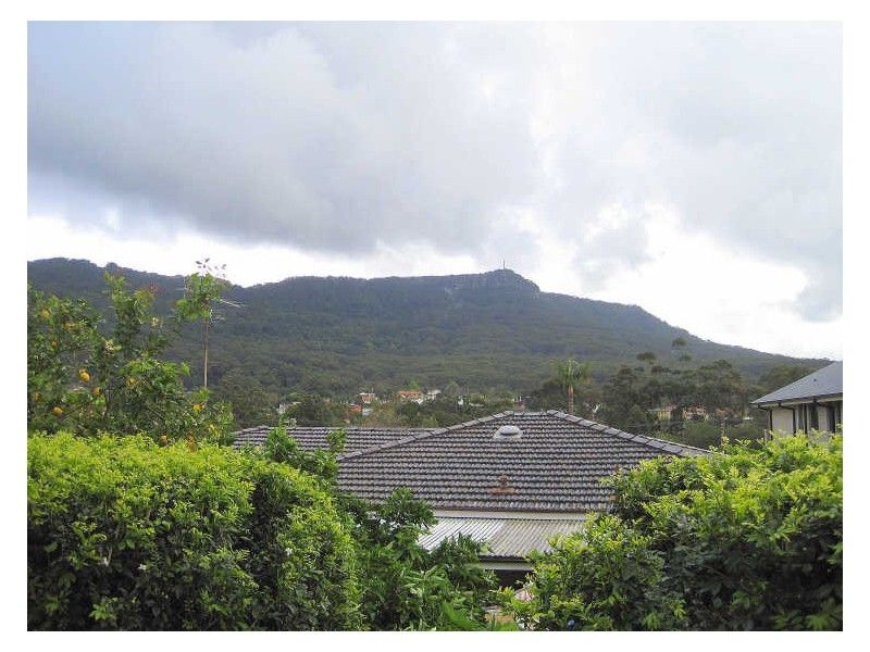 1/184B Balgownie Road, Balgownie NSW 2519