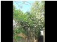 4 Brownlee Street, Mangerton NSW 2500