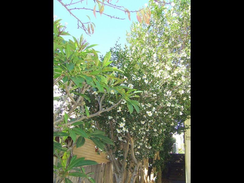 4 Brownlee Street, Mangerton NSW 2500