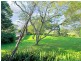 28 Terania Street, Russell Vale NSW 2517