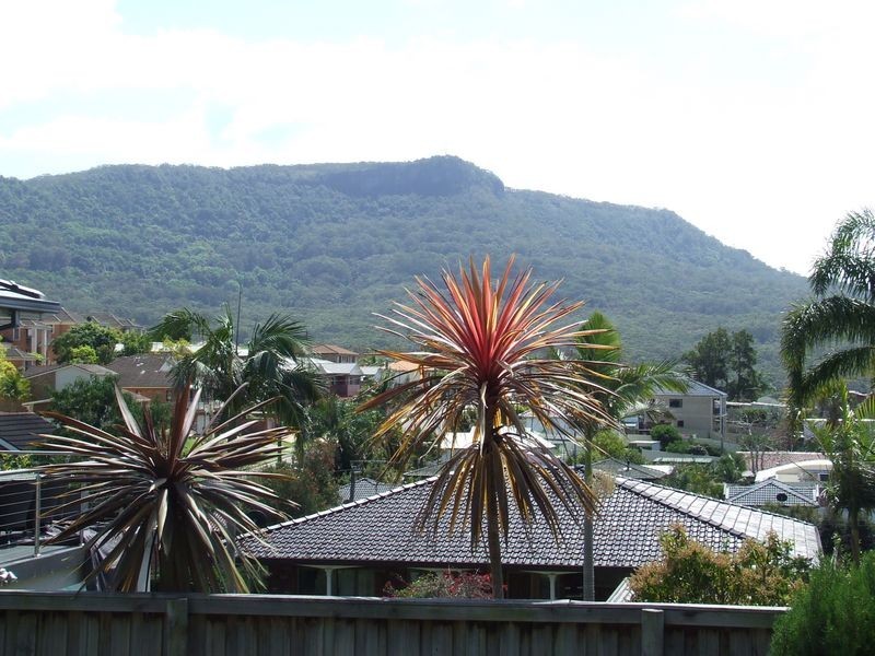 33 Kembla Street, Balgownie NSW 2519