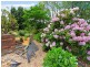 297 Sheaffes Road, Wongawilli NSW 2530
