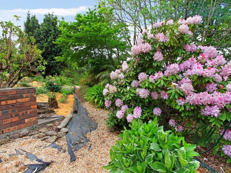 297 Sheaffes Road, Wongawilli NSW 2530