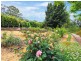 297 Sheaffes Road, Wongawilli NSW 2530