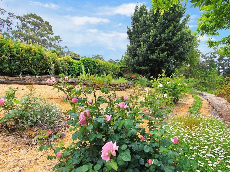 297 Sheaffes Road, Wongawilli NSW 2530