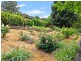 297 Sheaffes Road, Wongawilli NSW 2530
