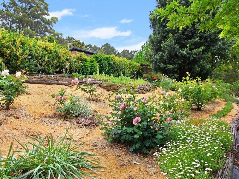 297 Sheaffes Road, Wongawilli NSW 2530
