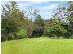 297 Sheaffes Road, Wongawilli NSW 2530