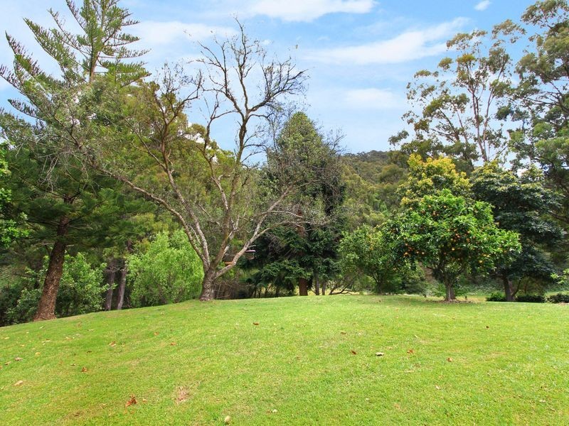 297 Sheaffes Road, Wongawilli NSW 2530
