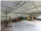 297 Sheaffes Road, Wongawilli NSW 2530