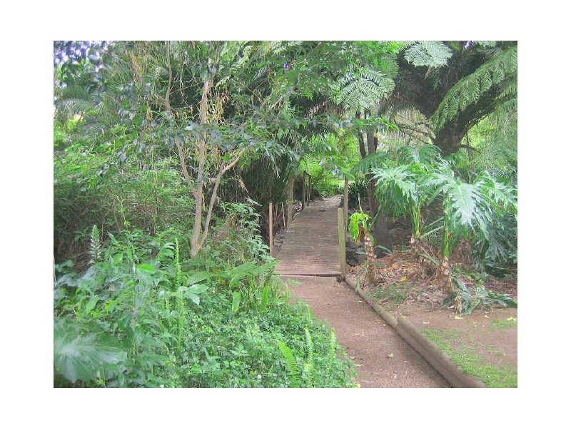 33 Staff Street, Wollongong NSW 2500