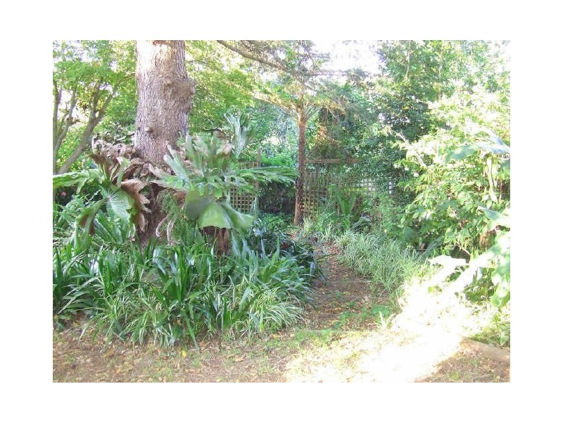 11 Bradley Avenue, Mount Kembla NSW 2526