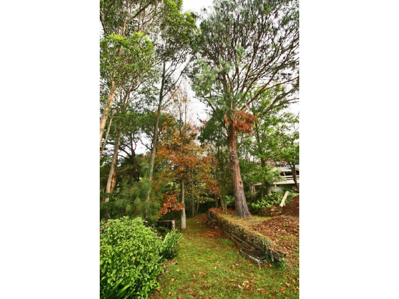 317 Cordeaux Road, Mount Kembla NSW 2526