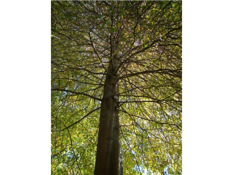 317 Cordeaux Road, Mount Kembla NSW 2526