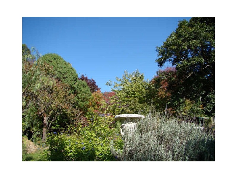 317 Cordeaux Road, Mount Kembla NSW 2526