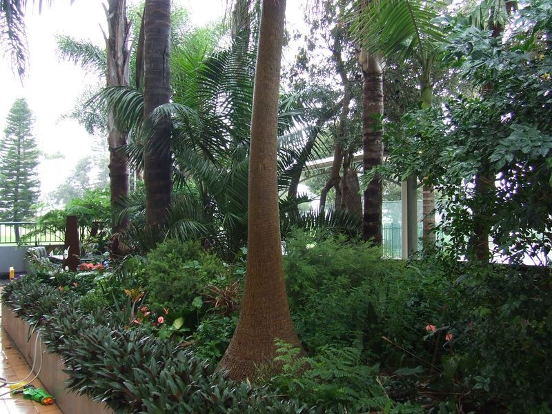 1/10-12 Hector Street, Wollongong NSW 2500