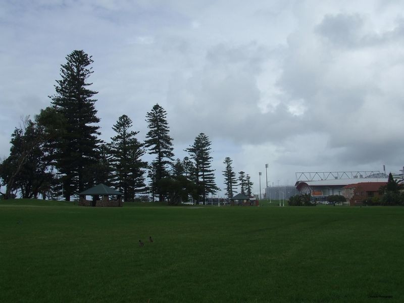 1/10-12 Hector Street, Wollongong NSW 2500