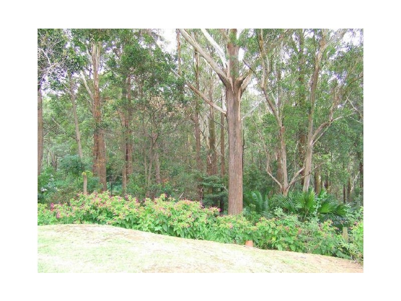 73 Stephen Drive, Woonona NSW 2517