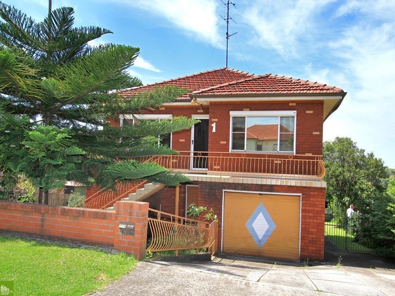 1a Weringa Avenue, Lake Heights NSW 2502