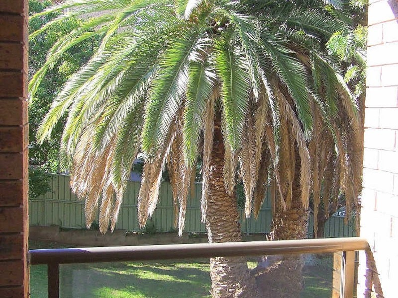 8/29 Church Street, Wollongong NSW 2500