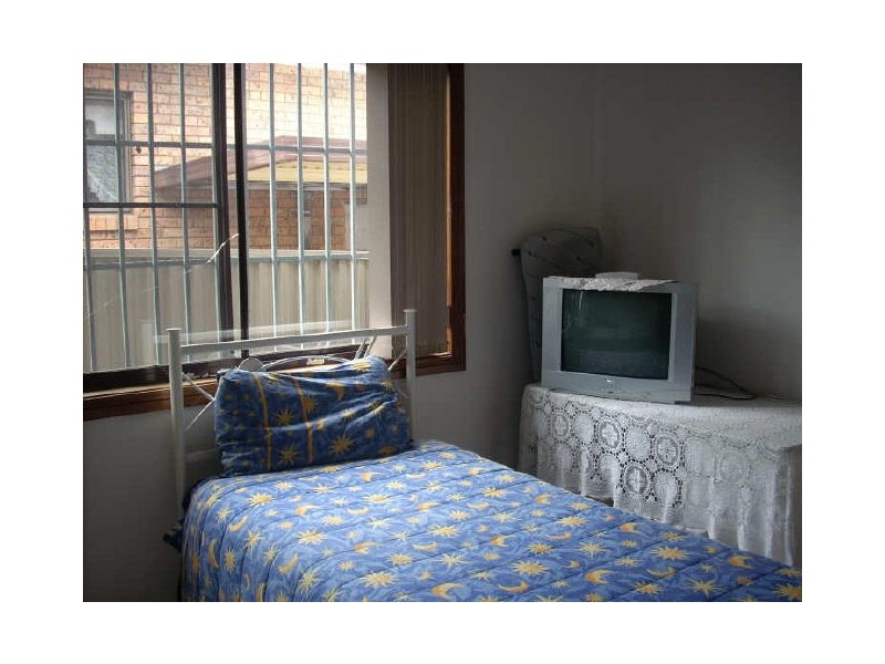 119 Wycombe Street, Yagoona NSW 2199