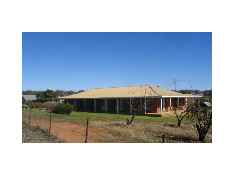 112 Kellys Road, Young NSW 2594