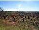112 Kellys Road, Young NSW 2594