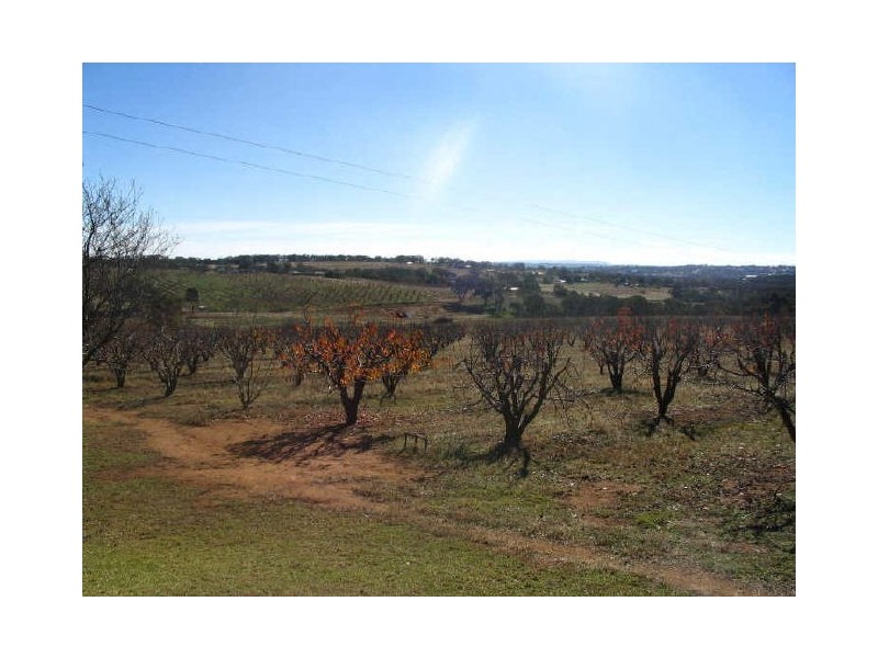 112 Kellys Road, Young NSW 2594