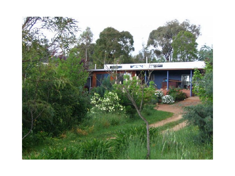 4 Tipperary Lane, Young NSW 2594