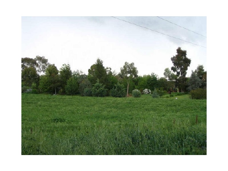 4 Tipperary Lane, Young NSW 2594