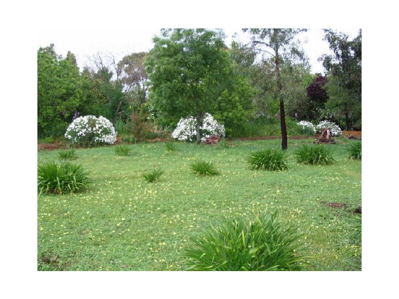 4 Tipperary Lane, Young NSW 2594