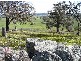 3654 Murringo Road, Young NSW 2594