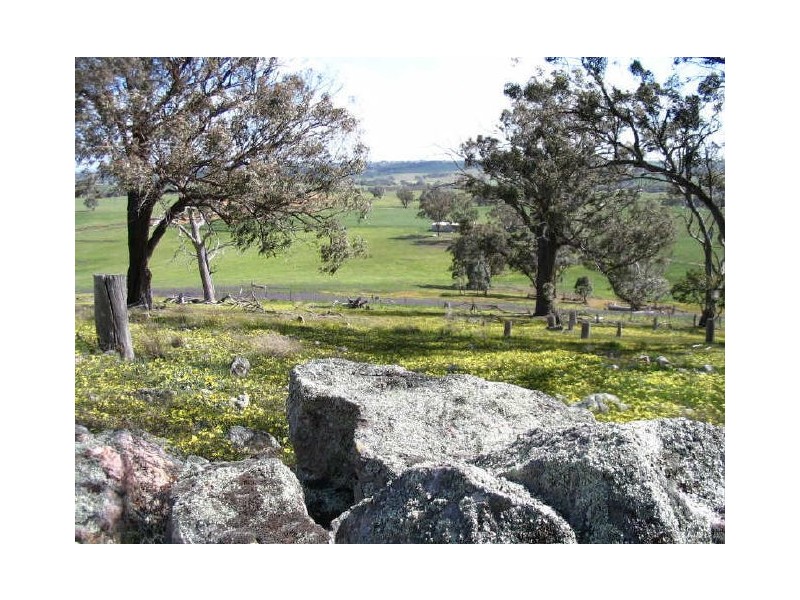 3654 Murringo Road, Young NSW 2594