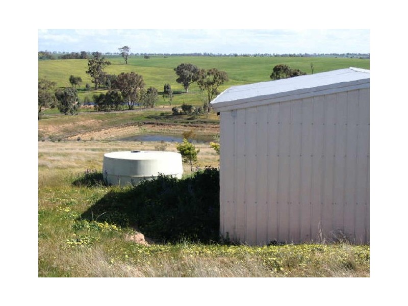 3654 Murringo Road, Young NSW 2594