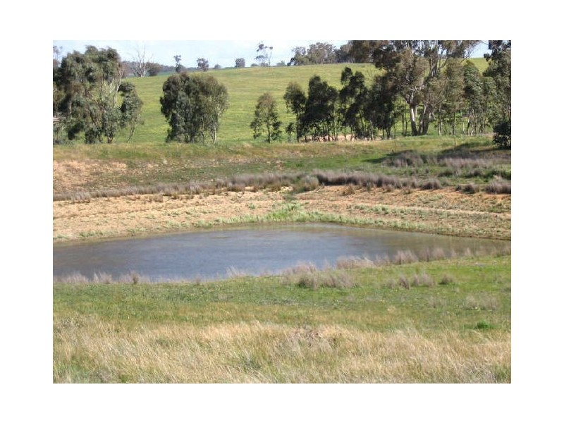 3654 Murringo Road, Young NSW 2594