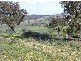 3654 Murringo Road, Young NSW 2594
