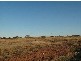 23 McGee Place, Murringo NSW 2586