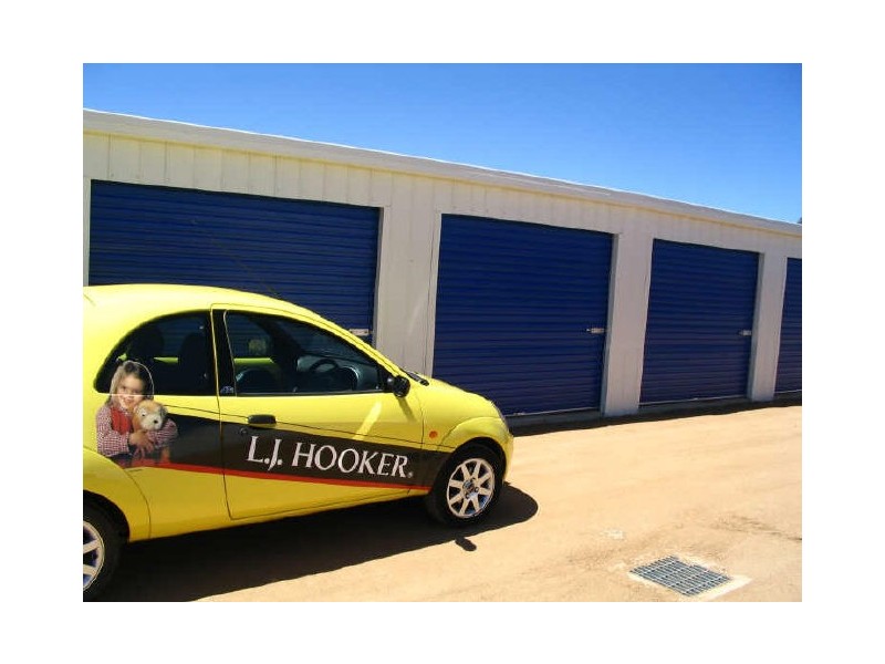 "Blue Line Storage Units", Young NSW 2594